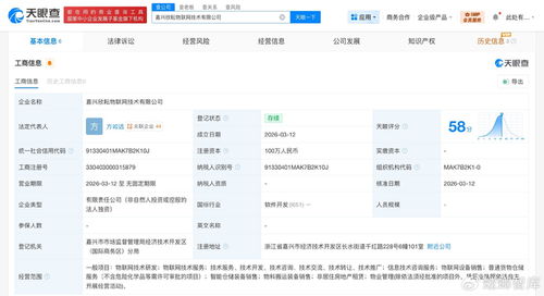 菜鸟网络再布局物联网赛道，同日成立两家技术公司聚焦信息服务