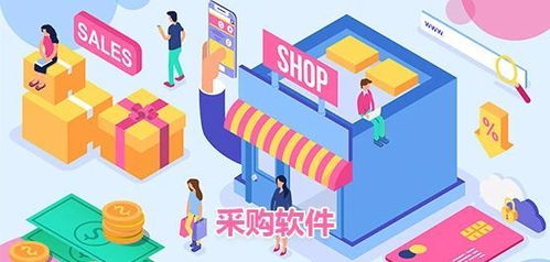 政务软件系统采购与信息技术咨询服务指南